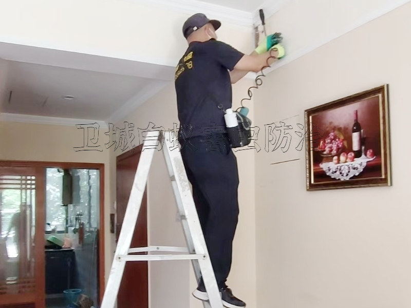 ���ù�����Χ�̻������󹤳�-��ݸ���÷��רҵ����˾