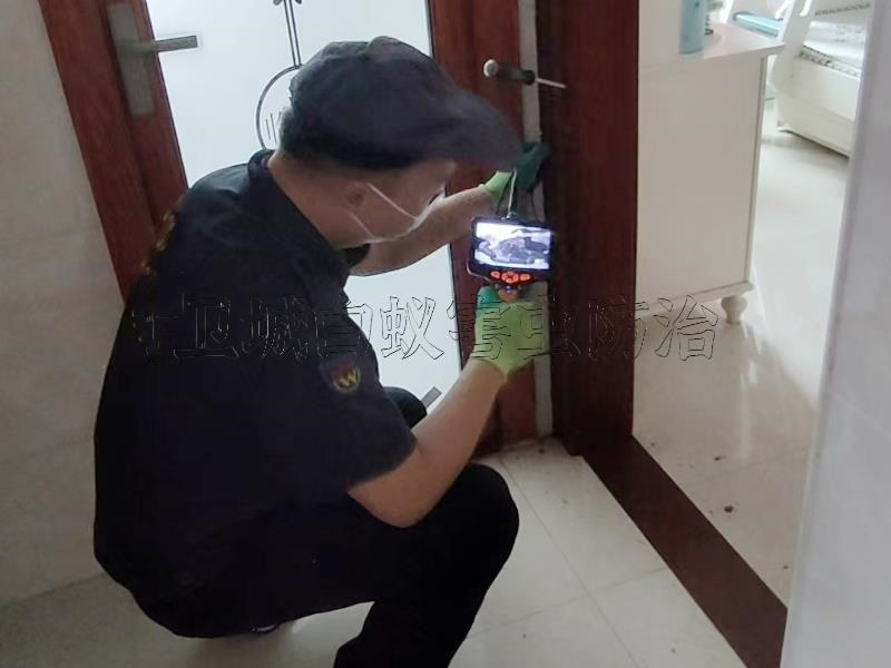 ����չʾ���������ι���-��ƽ�ΰ��Ϲ�˾